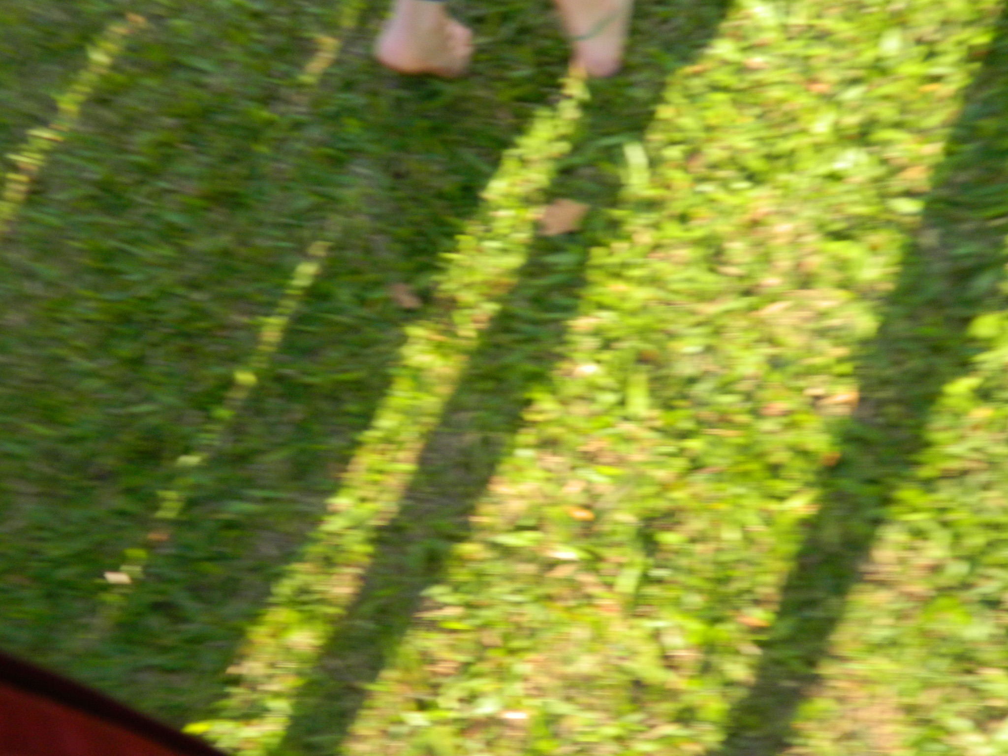 5594E0BE-B0D4-4B06-8723-0F695886EEDB.JPG